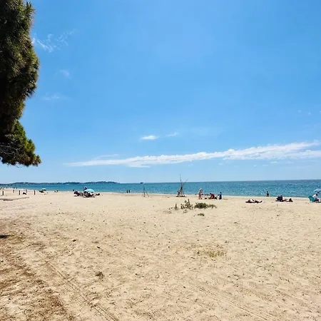 Reddis Cambrils