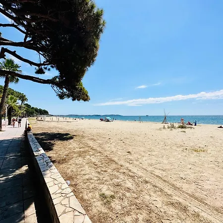 Reddis * Cambrils